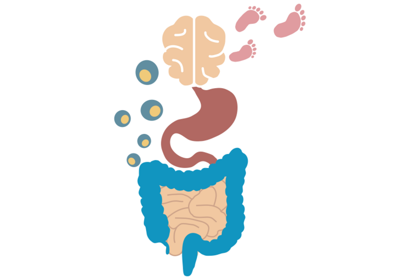 Logo of the NeoGIBA project showing a stylized image of the gut-brain-axis