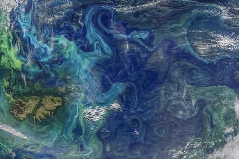 Missing Links In The Marine Sulfur Cycle – Identity And Functions Of ...